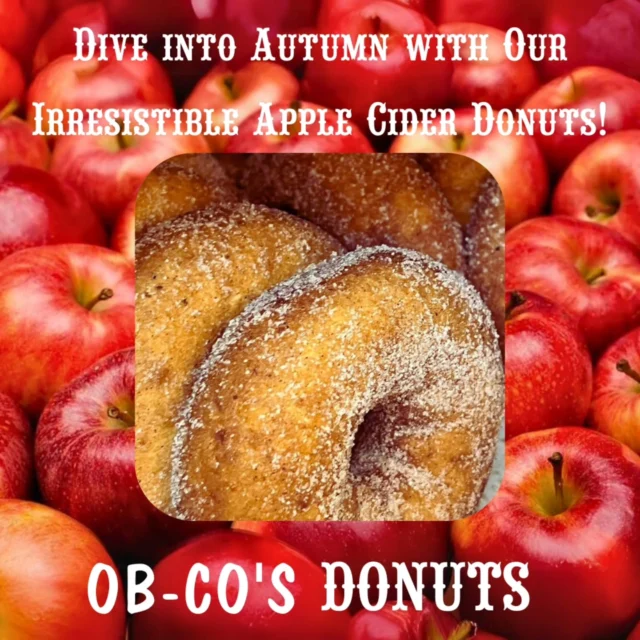 🍎🍩 Fresh, warm, & coated in cinnamon sugar — our Apple Cider Donuts taste like fall in every bite. 🍩🍎

#appleciderdonuts #bestofthebest  #donut  #tomsriverlocal #tomsrivernj #donutlife #freshdaily #yummyfood #breakfast #snack #love #coffee  #sogood #oceancounty #happiness #oceancountynj #jersey #jerseyshore #fresh #foodies  #donuts #doordash #grubhub #ubereats #popular #opendaily  #eatlocal